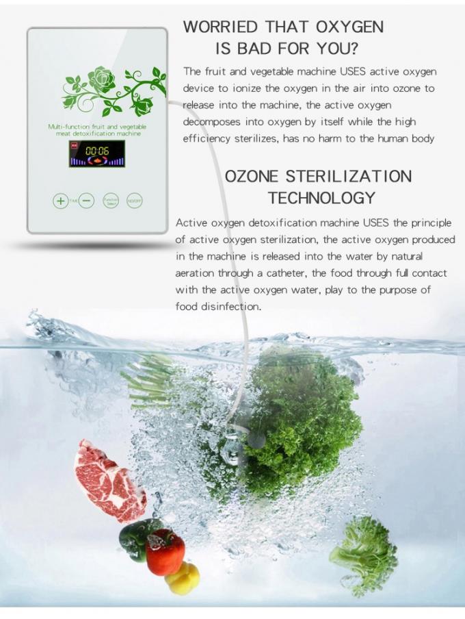 HOMEFISH Purificador de aire comercial cocina uso de oxígeno activo máquina de esterilización de frutas y verduras 400mg/h 2