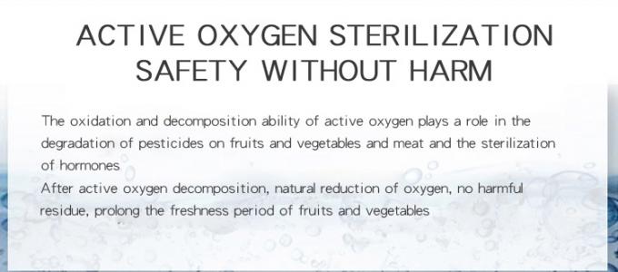 HOMEFISH Purificador de aire comercial cocina uso de oxígeno activo máquina de esterilización de frutas y verduras 400mg/h 3